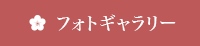 フォトギャラリー